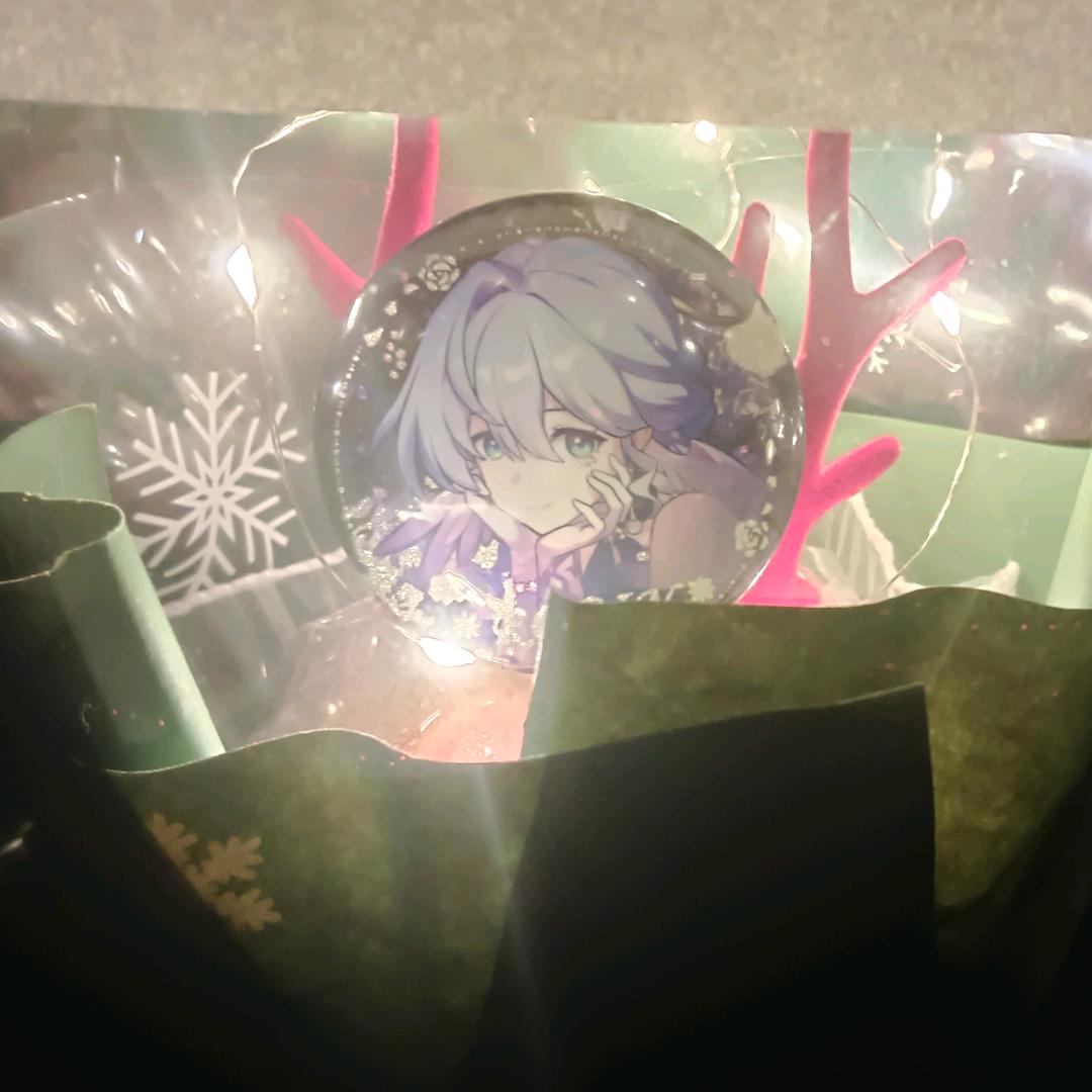 知更鸟小姐的狗