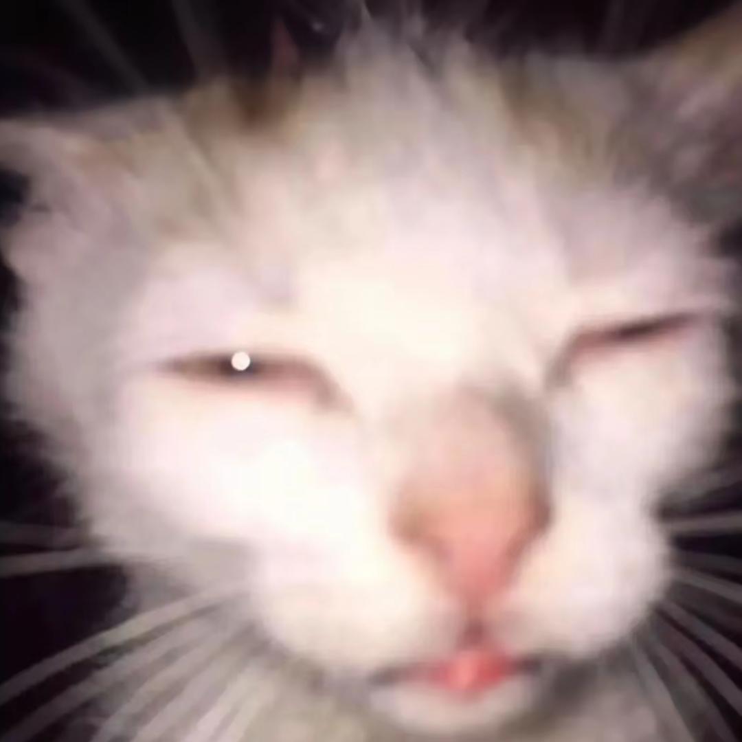 猫儿爱吃沙琪玛
