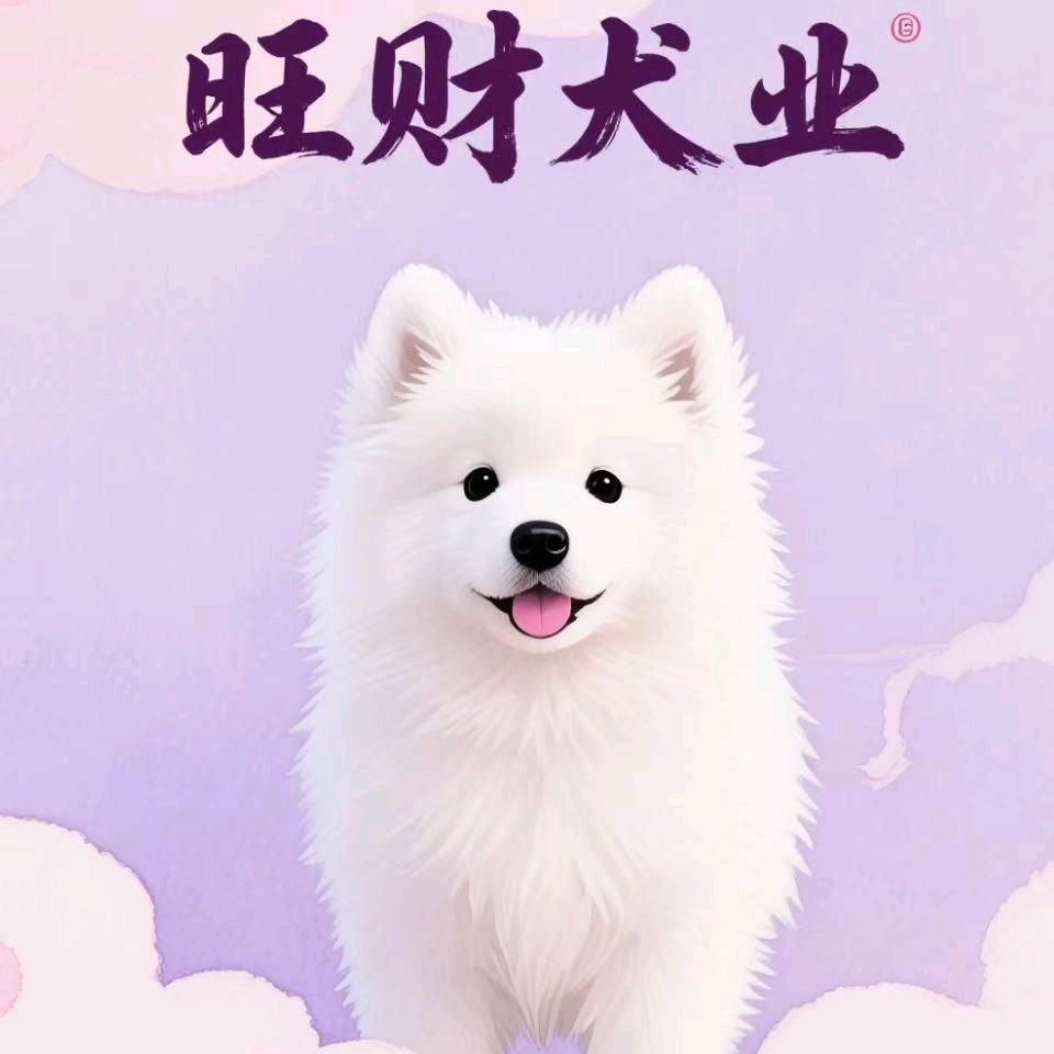 小罗犬舍