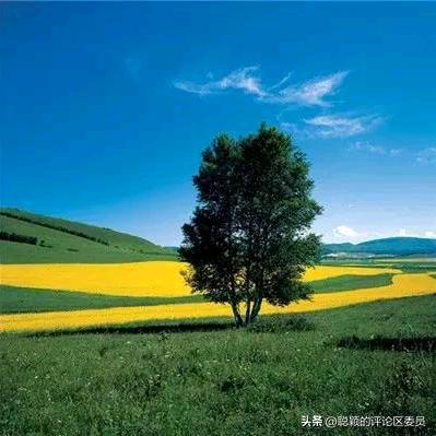 往后余生好好爱自己))