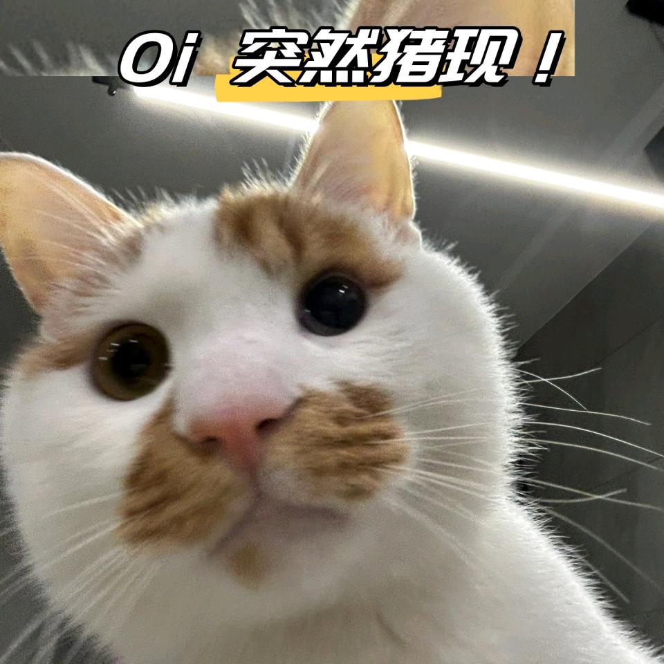 齉龘齉齾爩麤龗灪龖厵纞