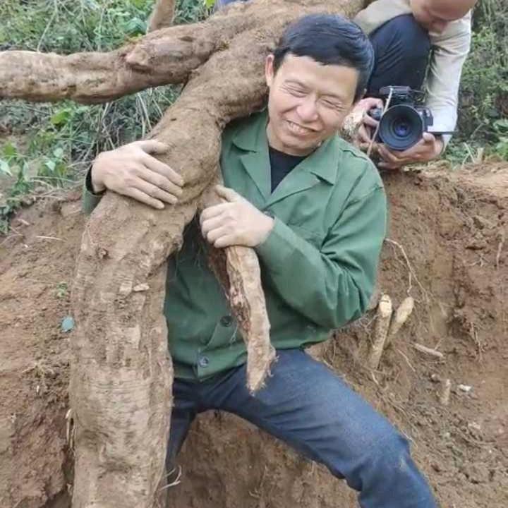江西山货人家乐文秋