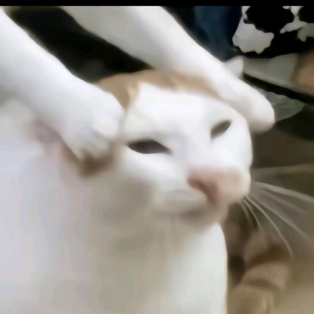 yuuuuuuuuuuuuuuuuuuu