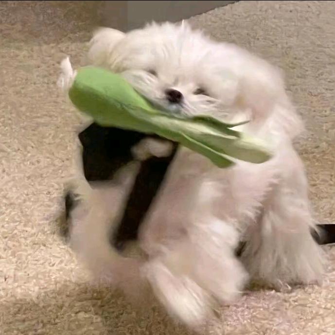 比奇堡超绝黄色海绵