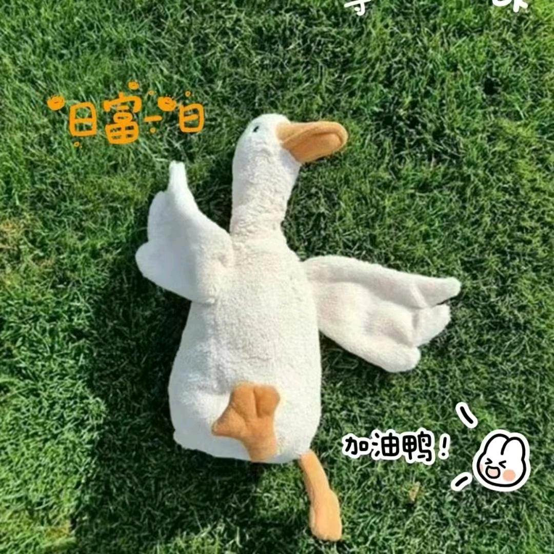 小晞妹呀