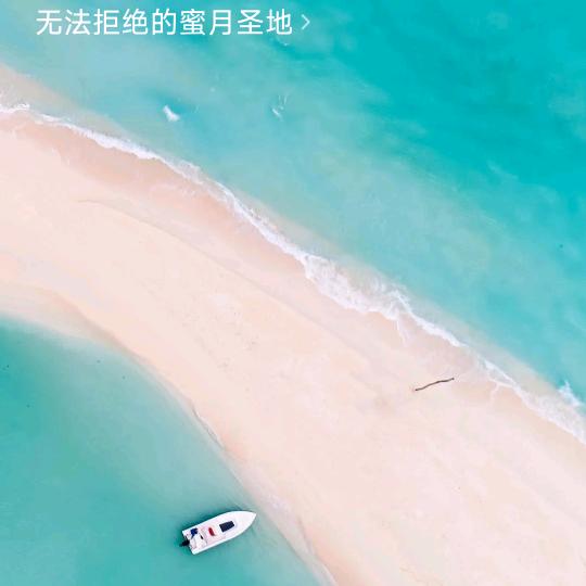 想你