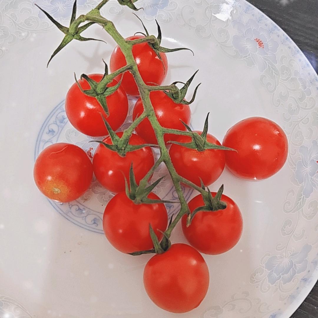霞棒好物优选