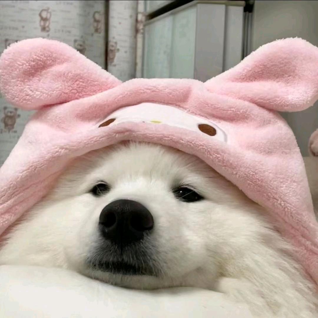 慕喻啊