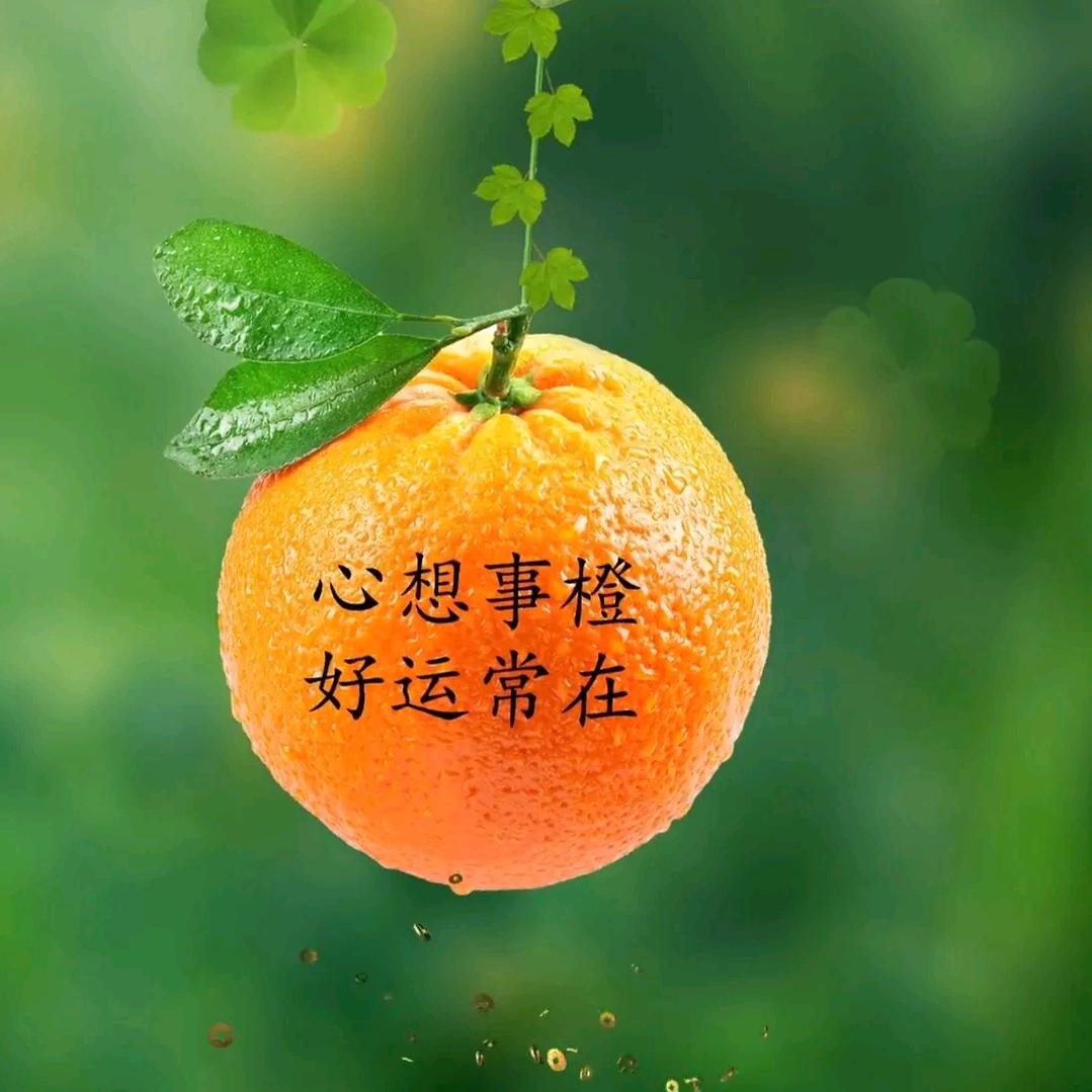 瞌睡鱼🐟🐟🐟