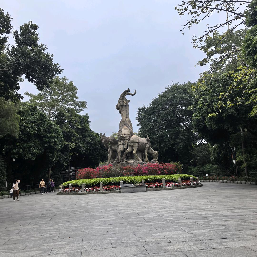 小林爱运动(护膝版)