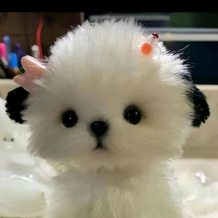 使命召唤—爱笑😁