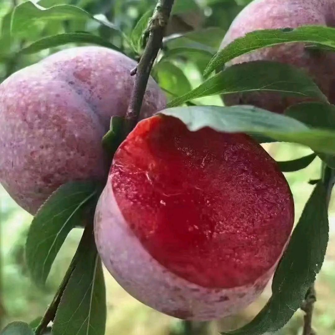 良辰