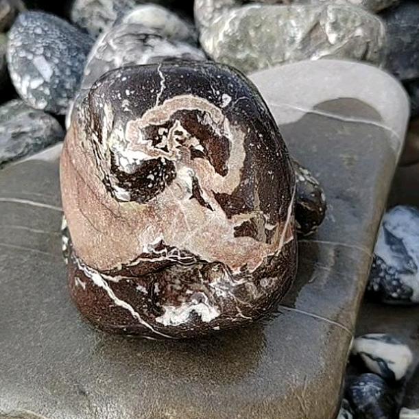 石在出彩奇石严选店