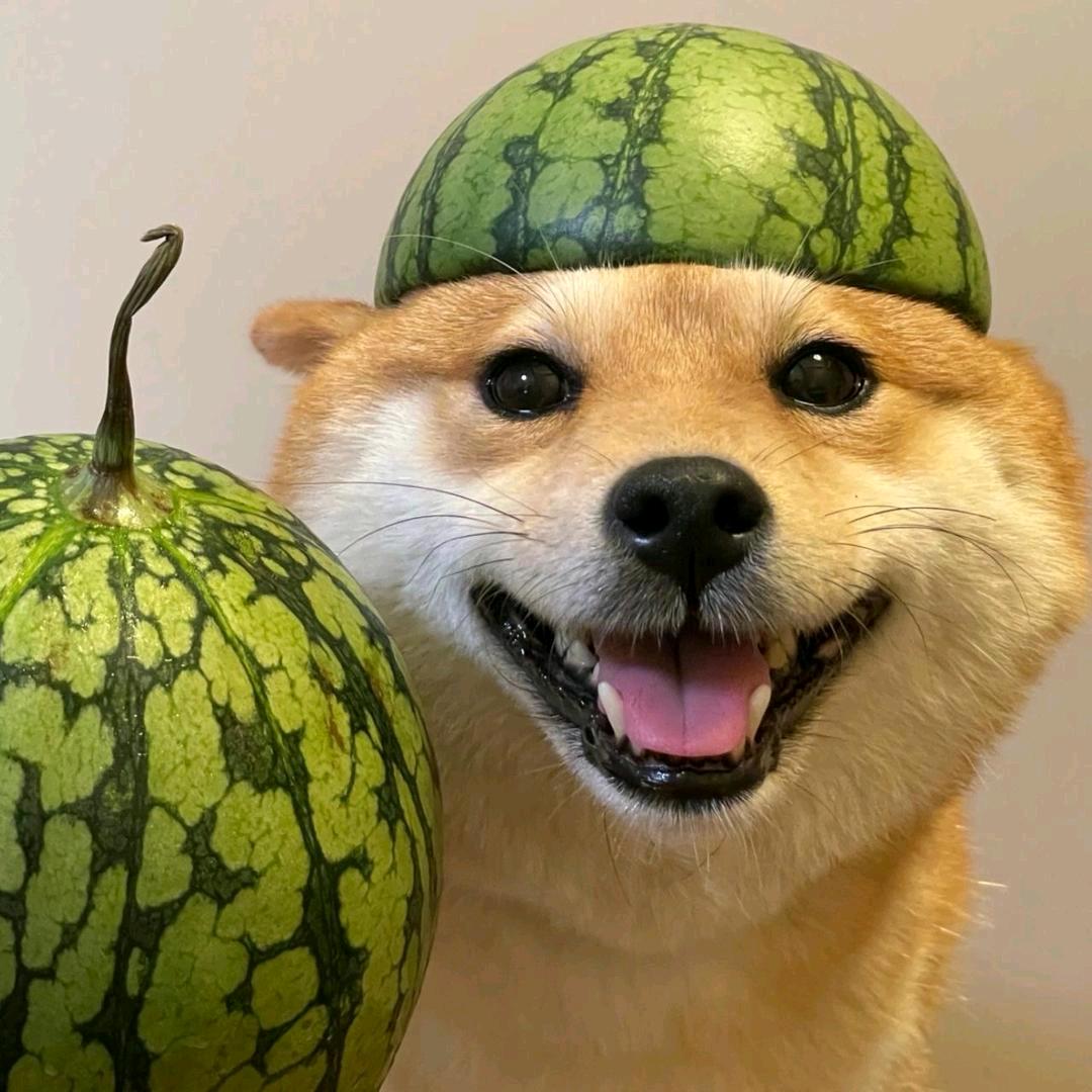 王者荣耀余光光