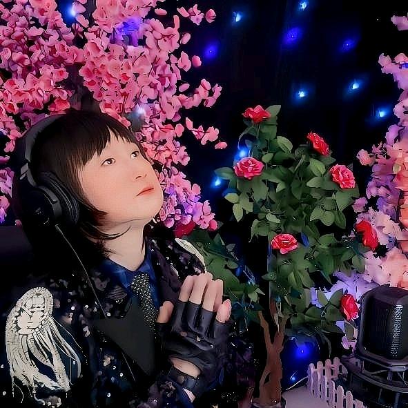 情歌王子小雨
