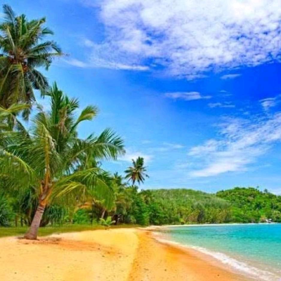 焦作顺承摩配 电配 电池批发