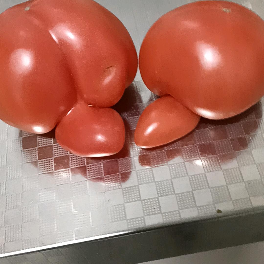 春天.