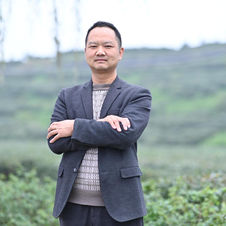 蒿坪紫安