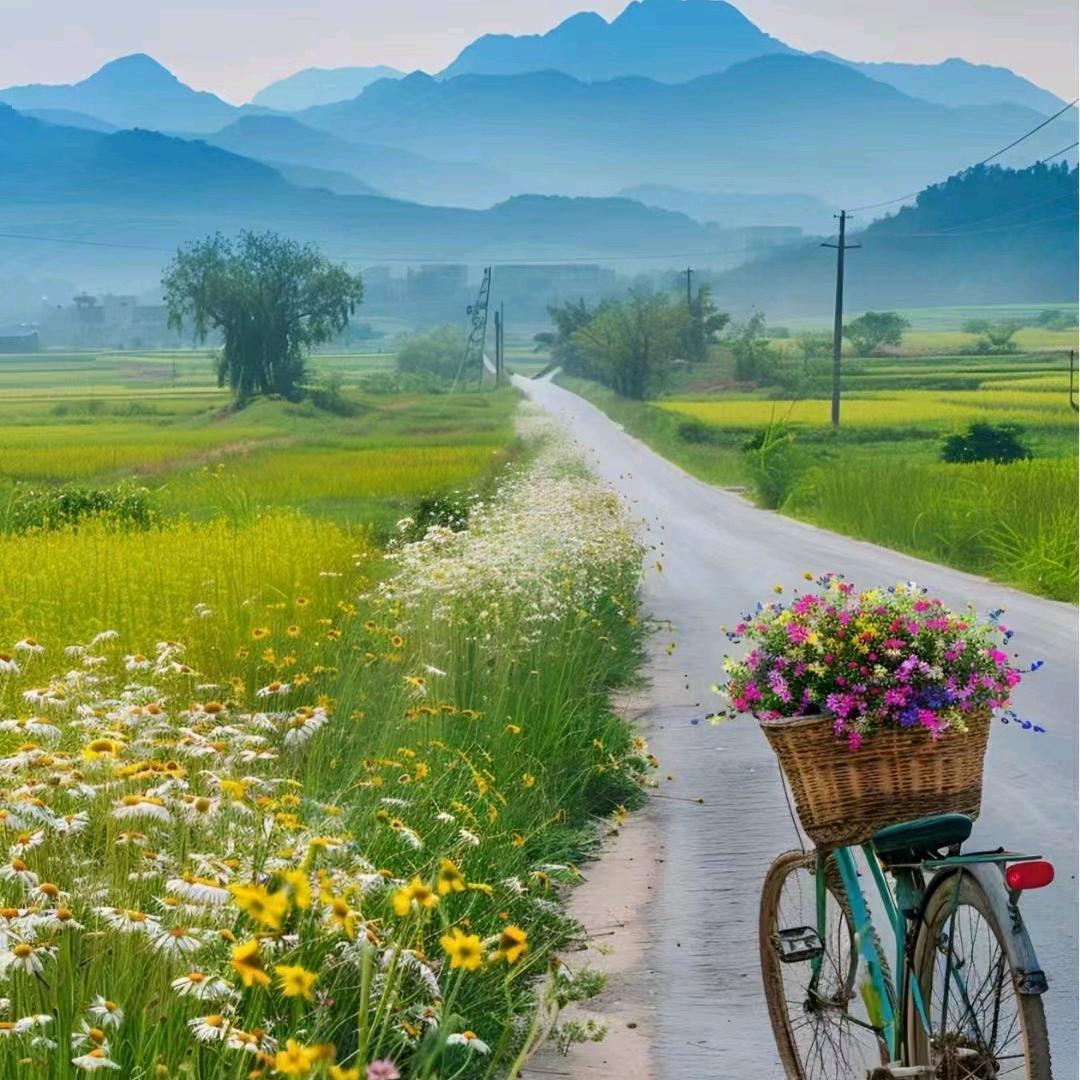 黑暗料理婆子-今晚吃什么？