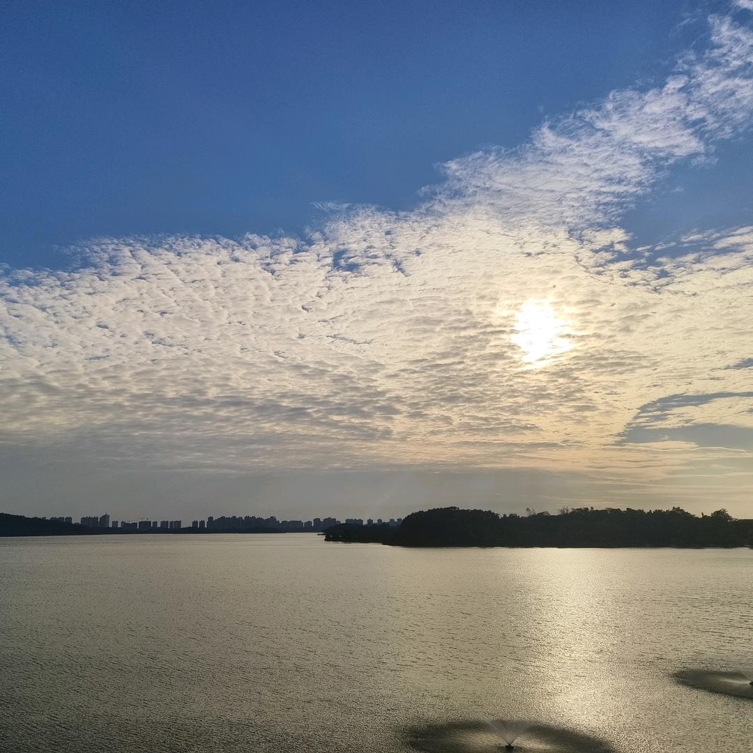 小阳