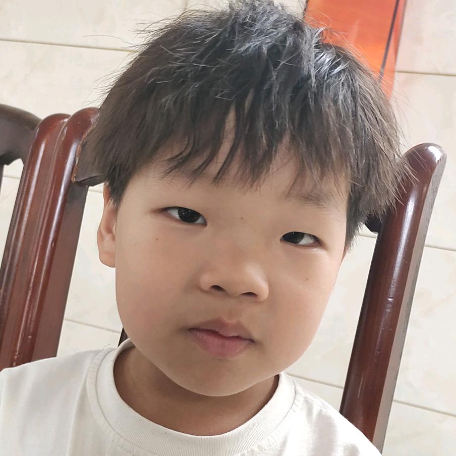 木桩子