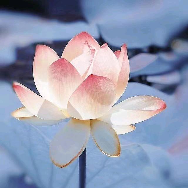 缘起缘落