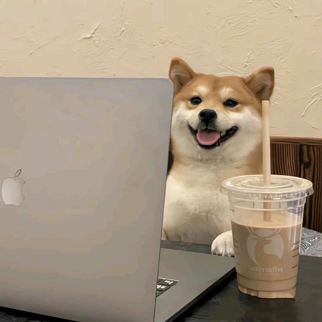 桃了桃了(打工人版)