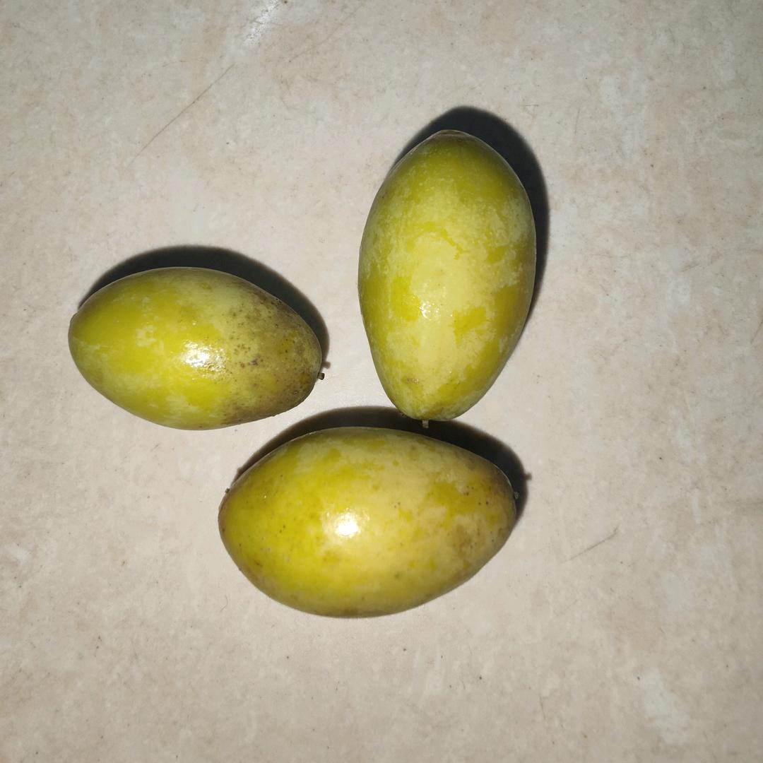 🕊꧔ꦿ᭄耳朵郑꧔ꦿ᭄💞