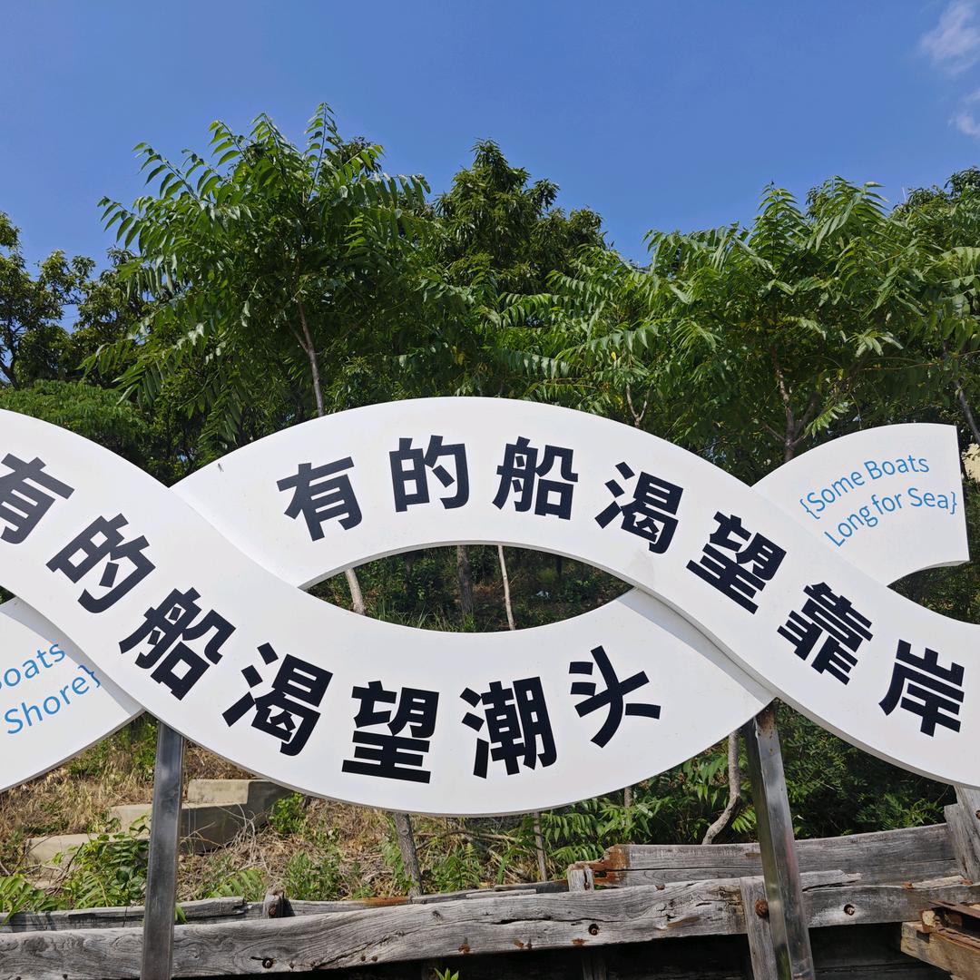 皮蛋瘦肉周🌻