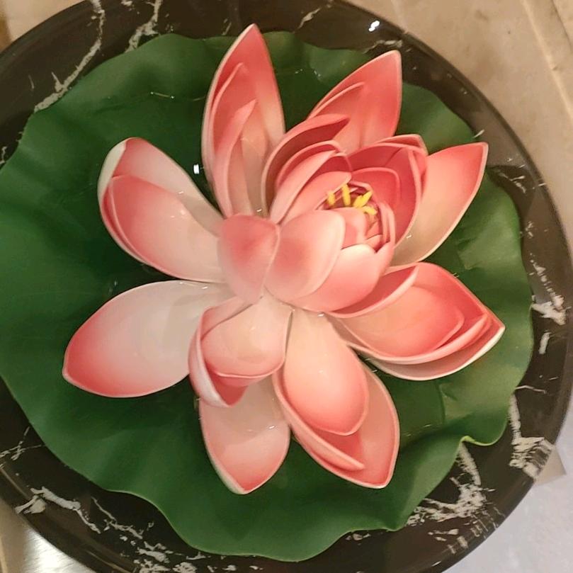 自由飞翔
