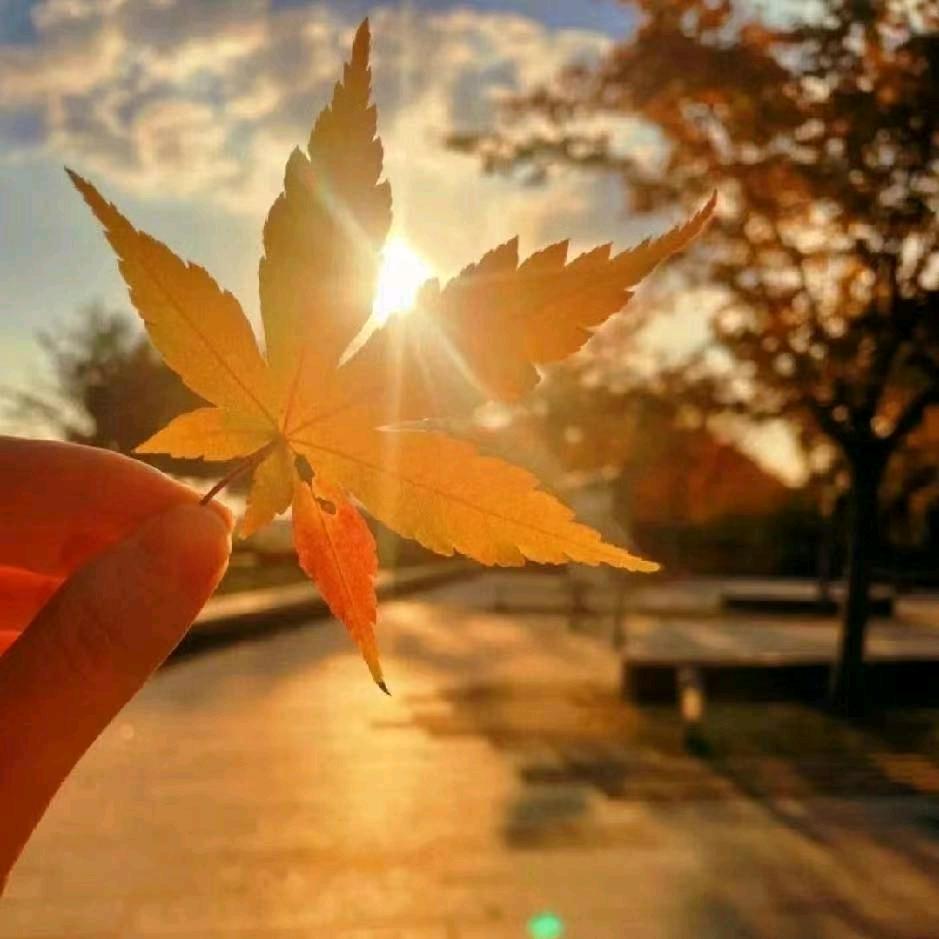 .(○^㉨^)ﾉ江.随❤️