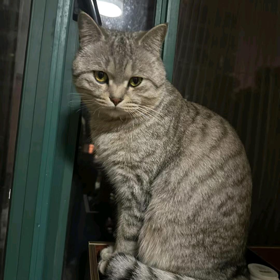 红姐