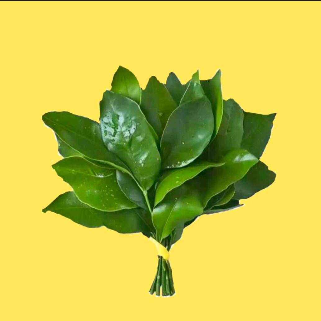 猜猜我老公是谁