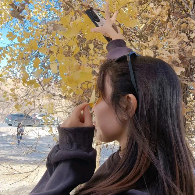 傻憨憨