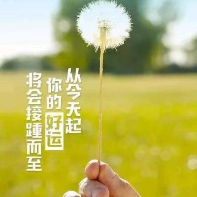 梦儿