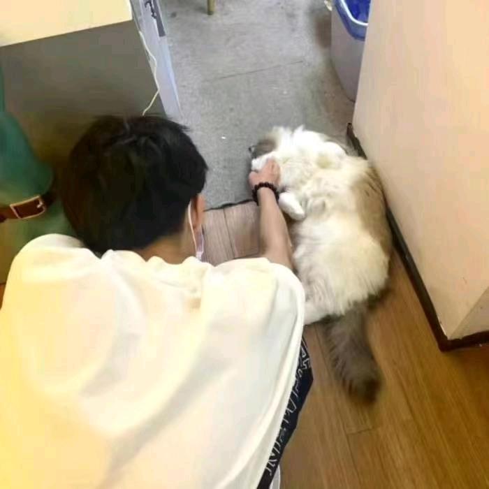 十.二