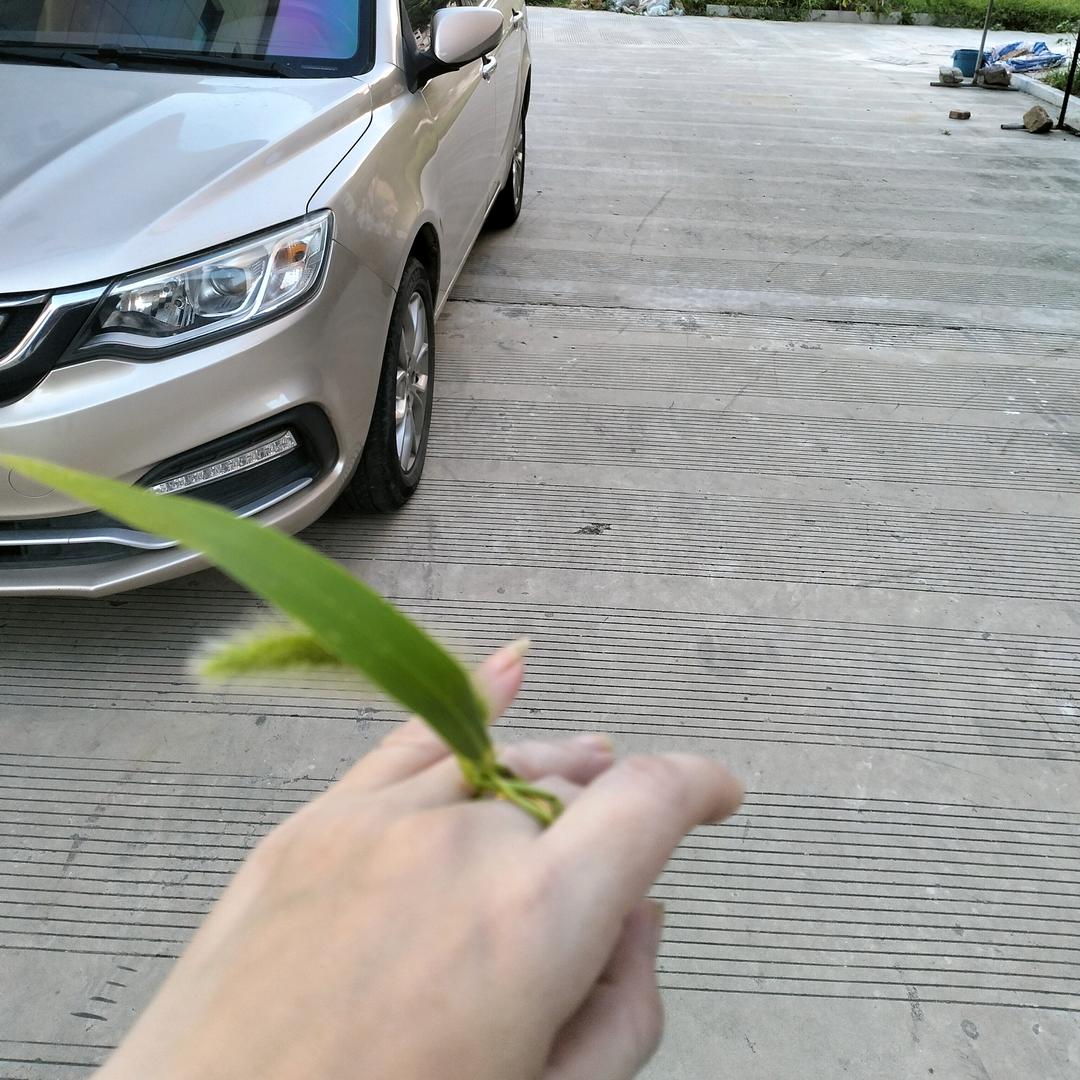 心想事CHEN