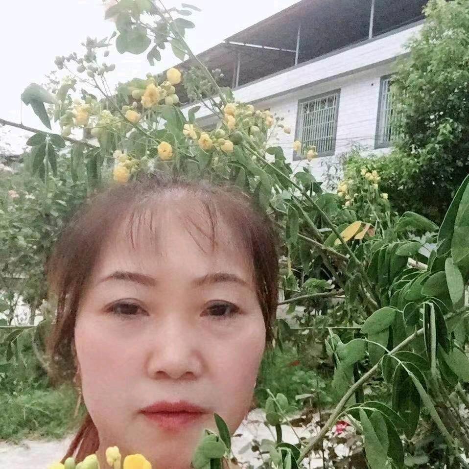 苹果