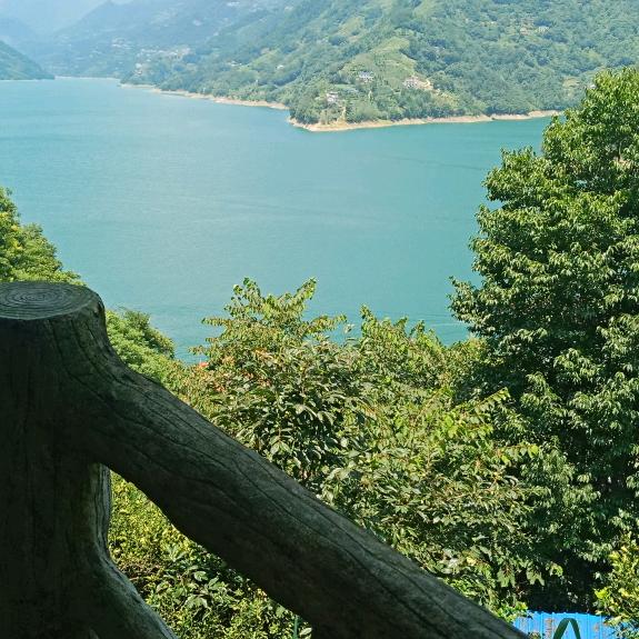 @TaoGe