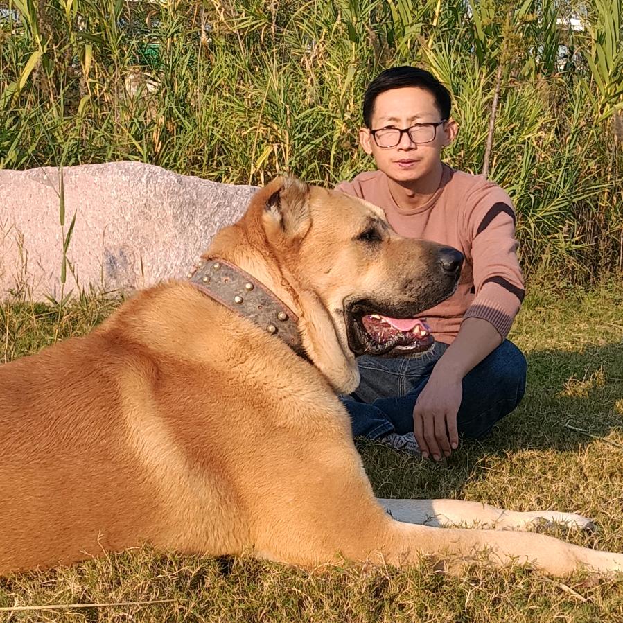 疯狂狗大户