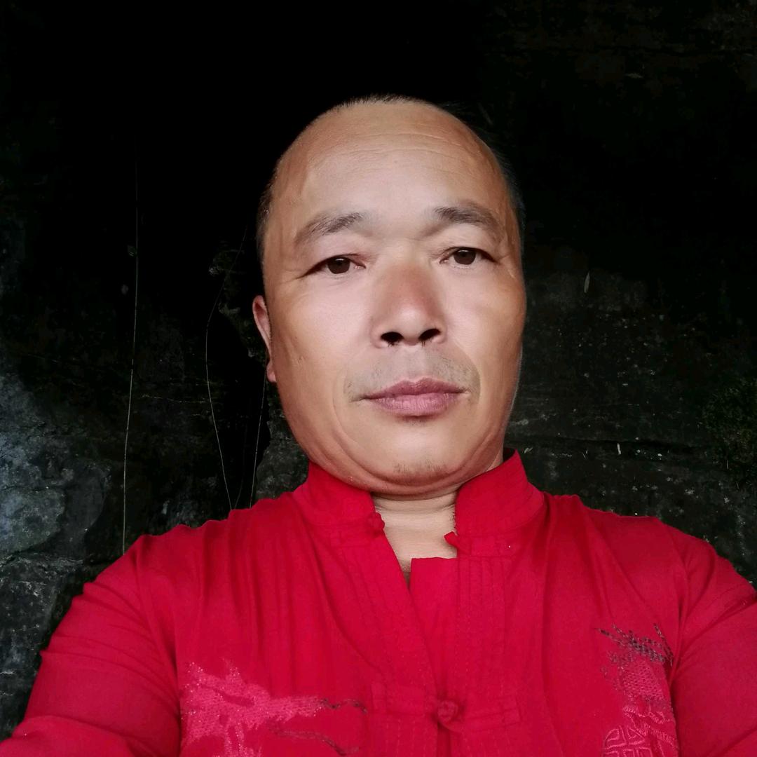 美丽的茶叶