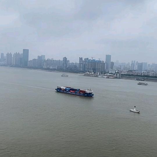 花开花落🍁🍁