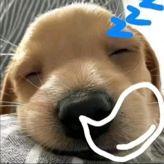 狗大仙人