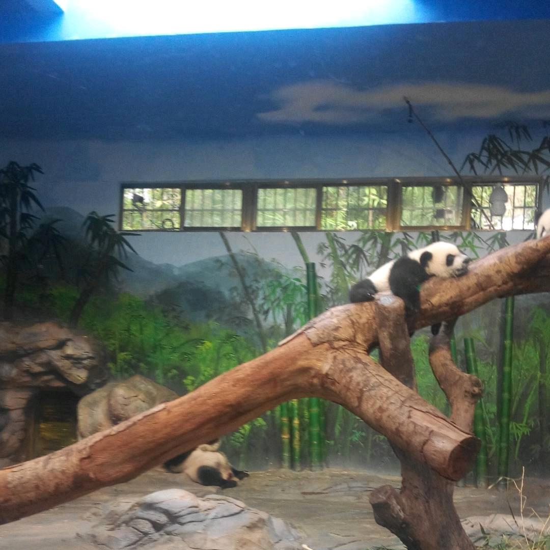 命运老人