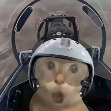 趴在后院嗦鸡屎被老婆发现恨铁不成钢