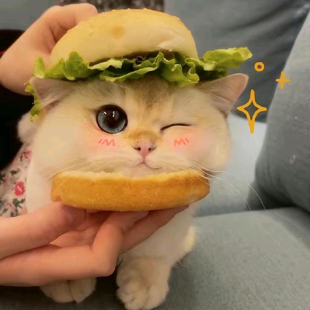 倾落