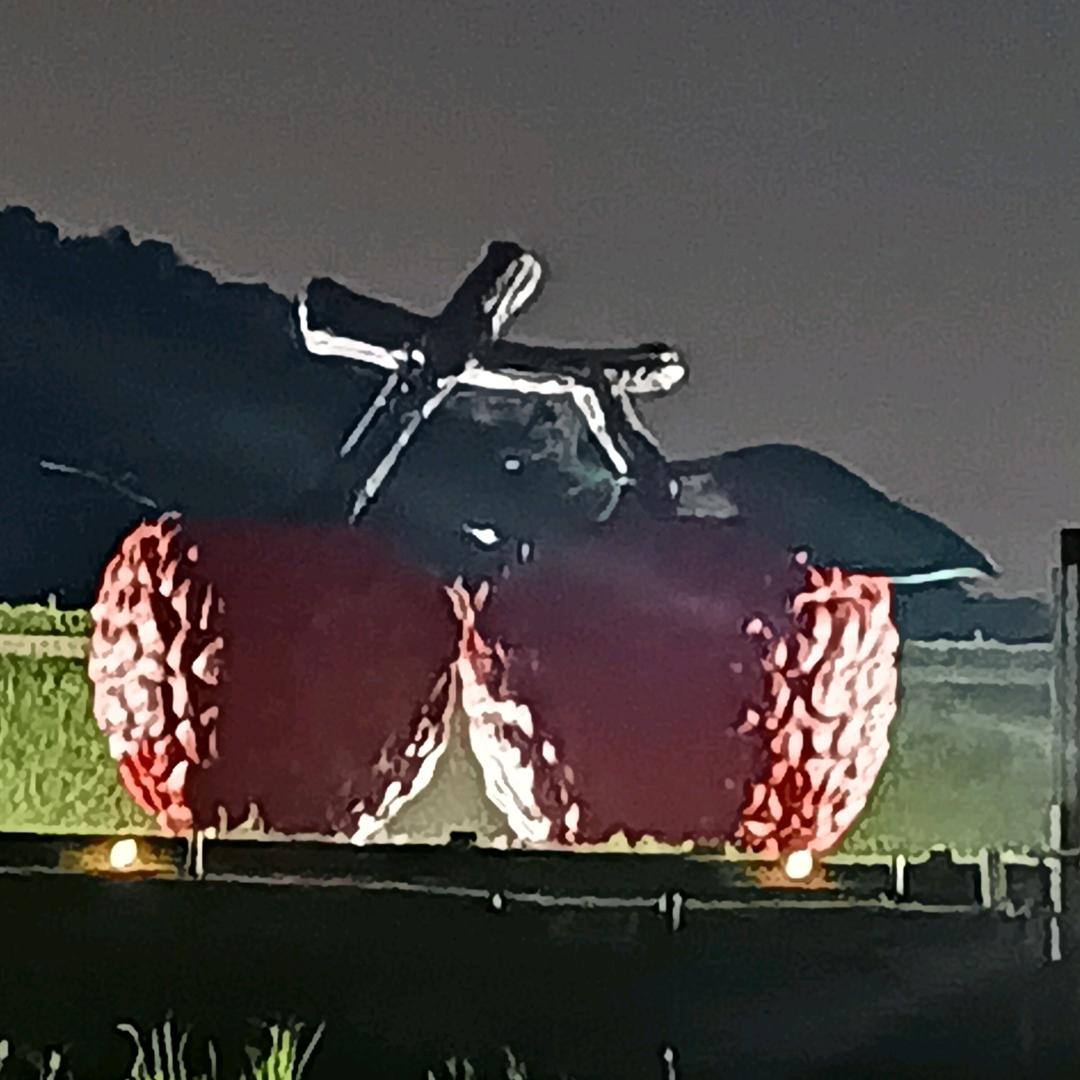 岁月静美