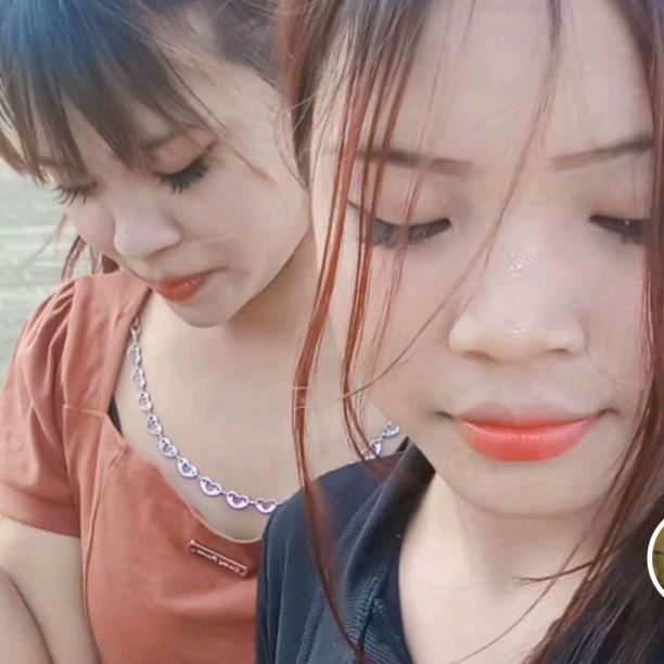 坚果咖啡苗批发 《百种果苗大全》