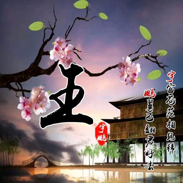 ꒰ঌ只跟☆你闹໒꒱