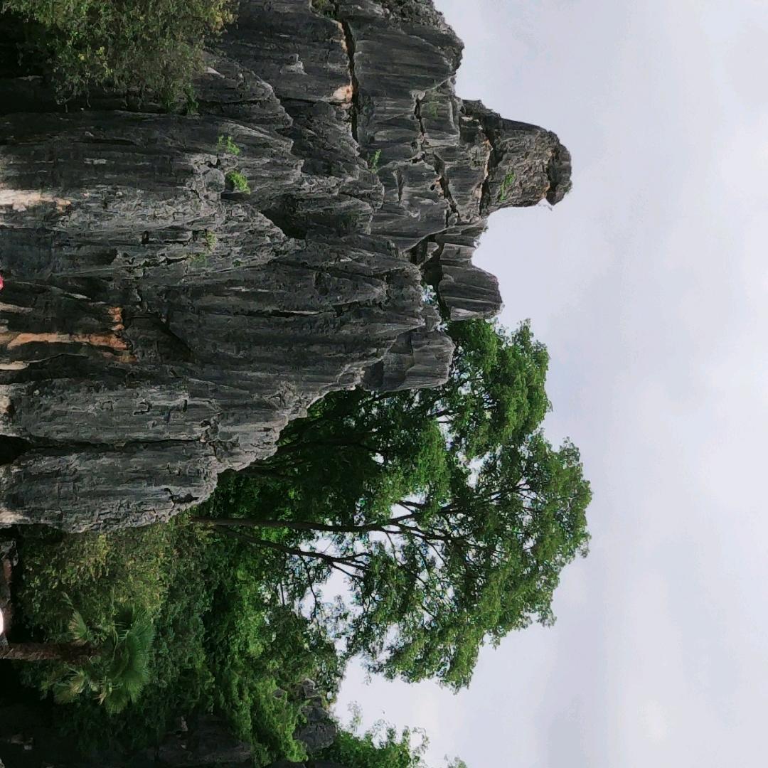96846813366